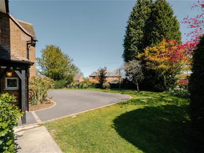 Picture 39